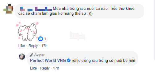 Perfect World VNG hé lộ phiên bản mới, cộng đồng nói gì?  2