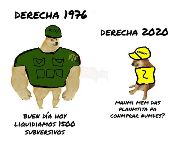 Swole Doge vs. Cheems