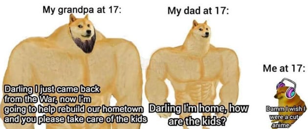 Swole Doge vs. Cheems