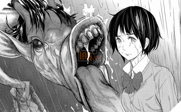 Top 10 dịch bệnh đáng sợ hơn cả COVID-19 trong thế giới manga Phần 1  5