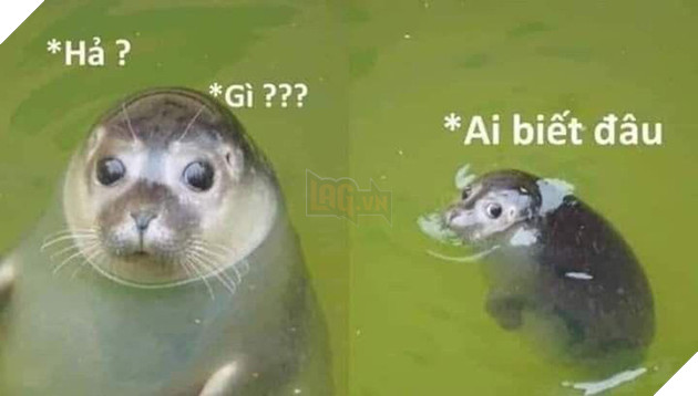 LMHT: Những câu hỏi nhạy cảm từ người xem mà các streamer cực kỳ khó trả lời - Ảnh 4.