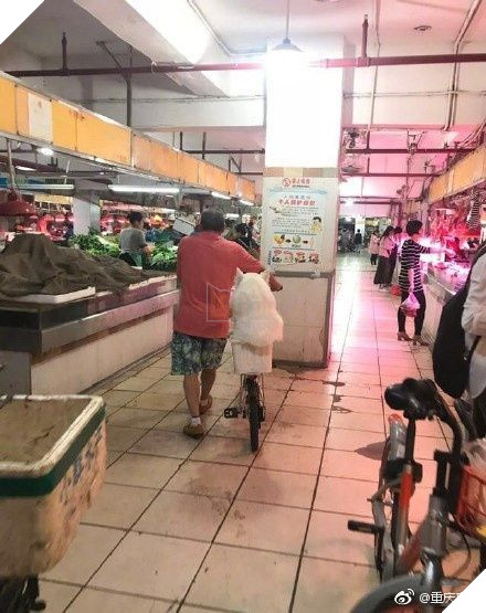  
Chú chó chễm chệ ngồi sau xe của bác chủ (Ảnh: Weibo)