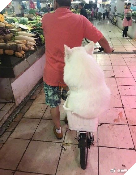  
Dáng ngồi khiến nhiều người phải bật cười (Ảnh :Weibo)