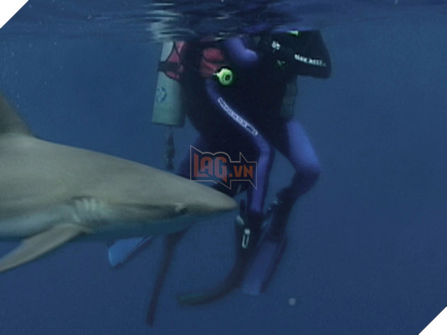 Điểm danh 10 phim kinh dị có kết thúc thê thảm nhất màn ảnh P1  6