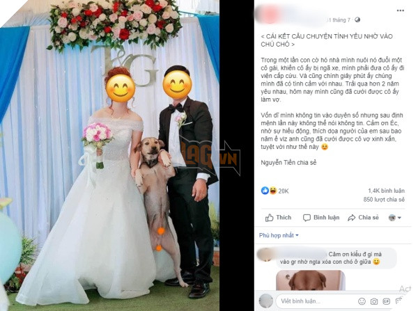 Chó cưng đuổi làm cô gái ngã xe, chàng trai bất đắc dĩ phải đưa đi viện, tự nhiên có vợ nhờ Boss - Ảnh 1