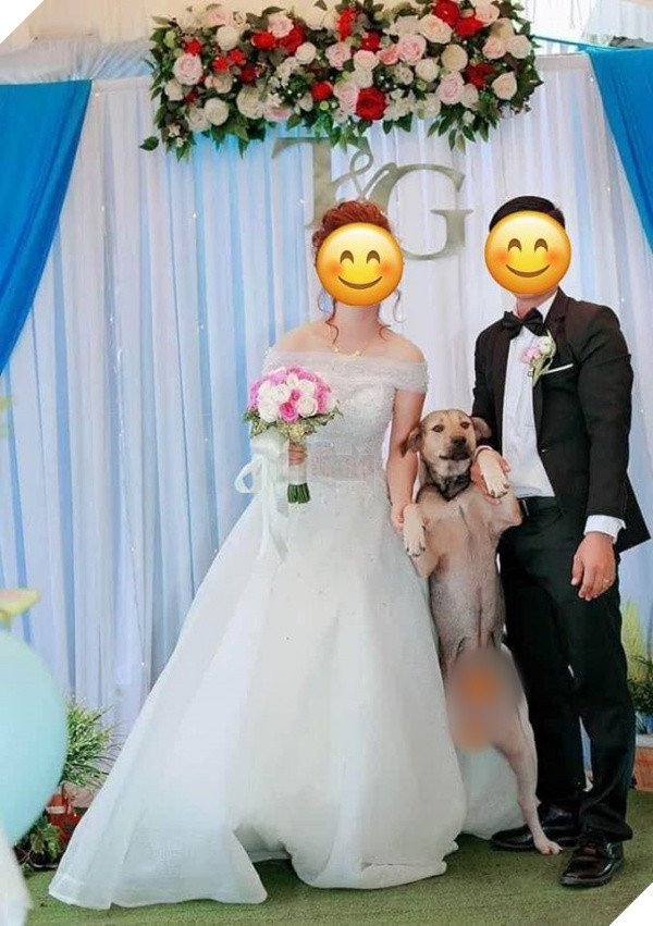 Chó cưng đuổi làm cô gái ngã xe, chàng trai bất đắc dĩ phải đưa đi viện, tự nhiên có vợ nhờ Boss - Ảnh 2