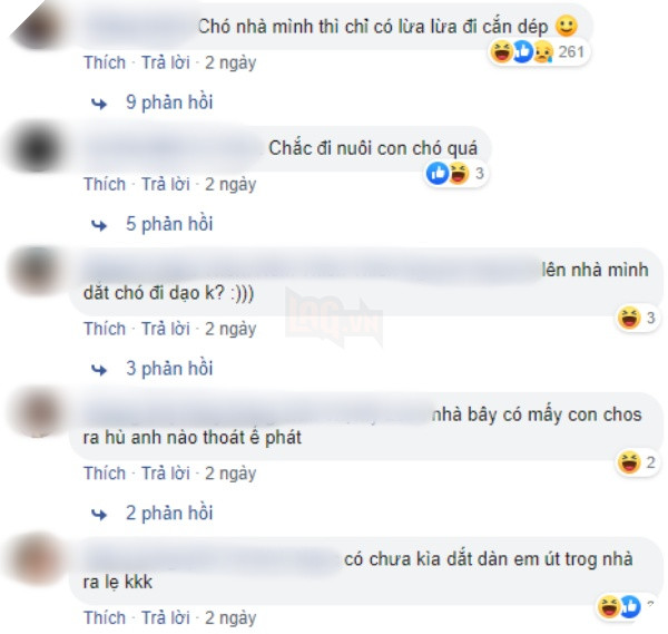 Chó cưng đuổi làm cô gái ngã xe, chàng trai bất đắc dĩ phải đưa đi viện, tự nhiên có vợ nhờ Boss - Ảnh 3