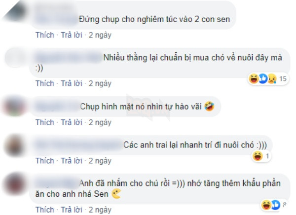 Chó cưng đuổi làm cô gái ngã xe, chàng trai bất đắc dĩ phải đưa đi viện, tự nhiên có vợ nhờ Boss - Ảnh 4
