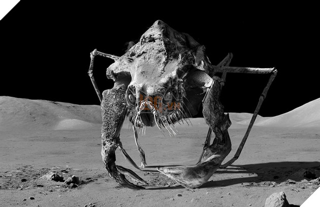 Điểm danh 10 phim kinh dị có kết thúc thê thảm nhất màn ảnh P2  4