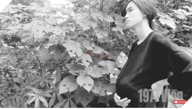 1977 Vlog gom hết chuyện tốt xấu trên mạng, cà khịa cực gắt cô gái mút trộm bánh kem ầm ĩ TikTok - Ảnh 1.