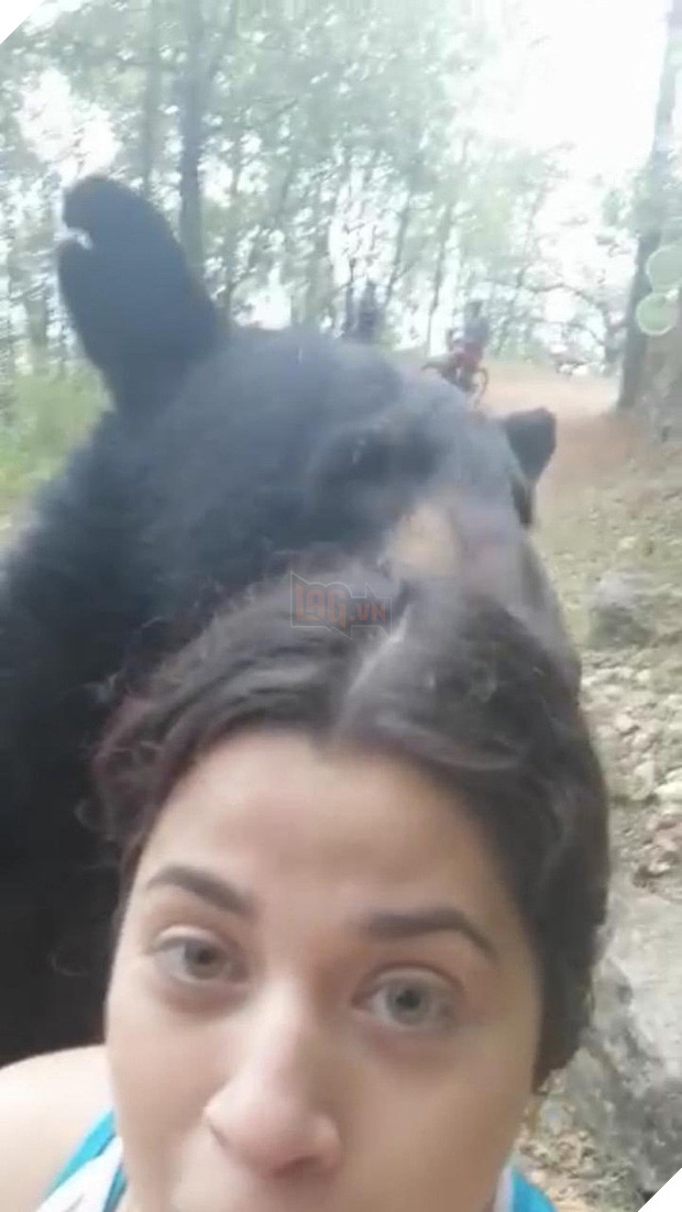 Gấu đen bị thiến sau khi vô tư đụng chạm nữ du khách trẻ - Ảnh 2.