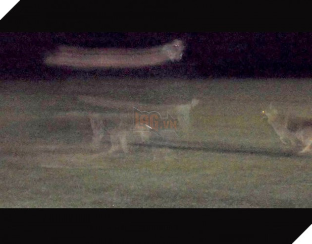 Rùng mình trước những bức ảnh khiến bạn tin ma quỷ là có thật Phần 1  4