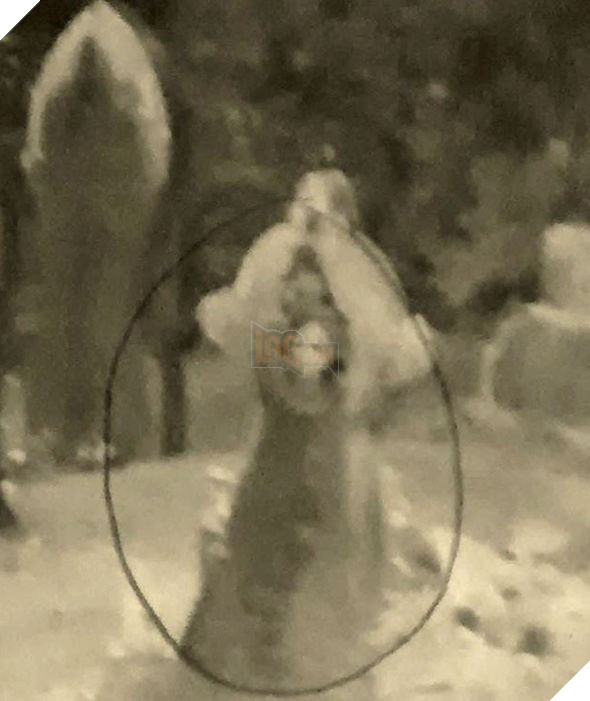 Rùng mình trước những bức ảnh khiến bạn tin ma quỷ là có thật Phần 2  2