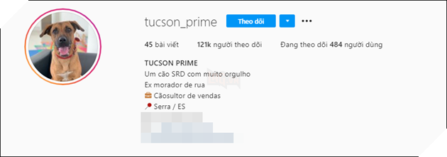  
Trang cá nhân của Tucson có lượt theo dõi khủng. Ảnh: Chụp màn hình