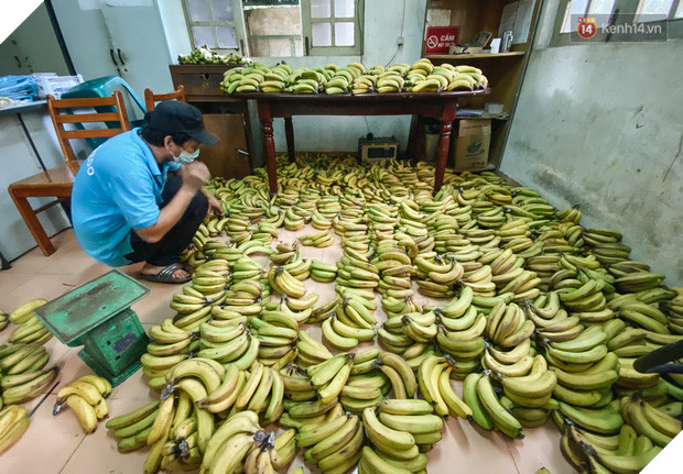 Người Sài Gòn góp cả chục tấn rau củ cùng hàng tỷ đồng, cứu đói bầy thú ở Thảo Cầm Viên trong mùa dịch Covid-19 - Ảnh 3.