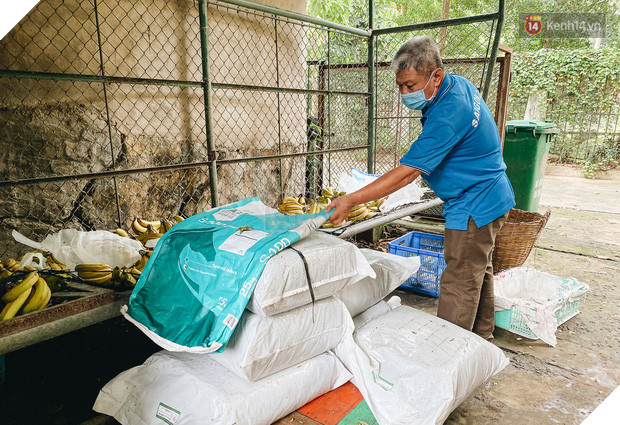 Người Sài Gòn góp cả chục tấn rau củ cùng hàng tỷ đồng, cứu đói bầy thú ở Thảo Cầm Viên trong mùa dịch Covid-19 - Ảnh 6.