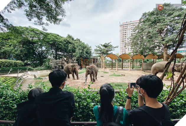 Người Sài Gòn góp cả chục tấn rau củ cùng hàng tỷ đồng, cứu đói bầy thú ở Thảo Cầm Viên trong mùa dịch Covid-19 - Ảnh 2.