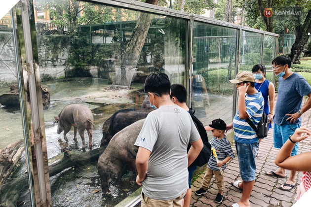Người Sài Gòn góp cả chục tấn rau củ cùng hàng tỷ đồng, cứu đói bầy thú ở Thảo Cầm Viên trong mùa dịch Covid-19 - Ảnh 2.