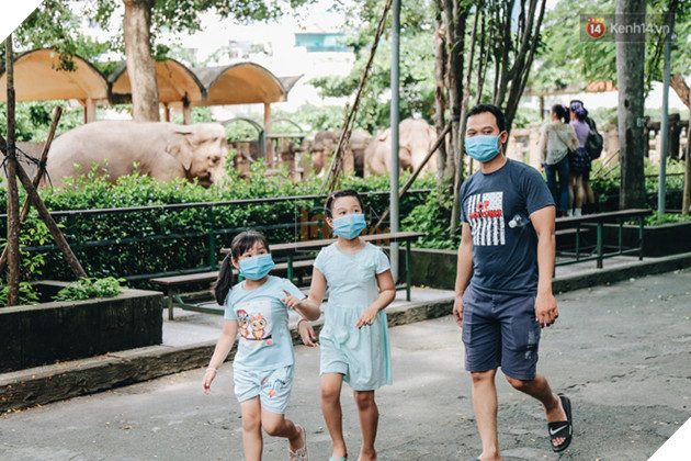 Người Sài Gòn góp cả chục tấn rau củ cùng hàng tỷ đồng, cứu đói bầy thú ở Thảo Cầm Viên trong mùa dịch Covid-19 - Ảnh 2.