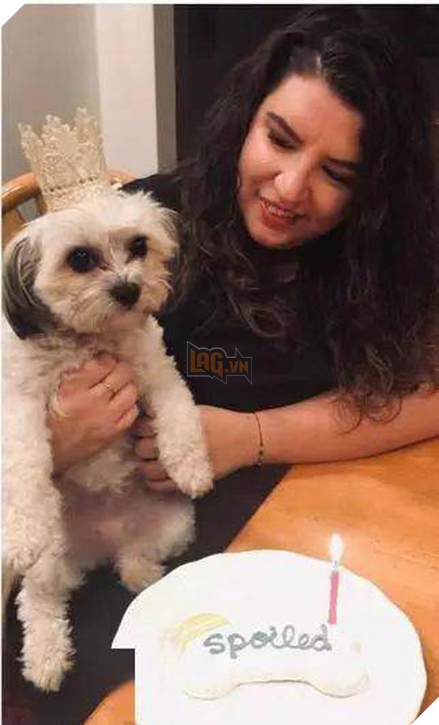 Gửi chó cưng cho bố trông hộ để đi làm, cô gái trở về ôm bụng cười với bộ dạng của con vật kèm theo câu chuyện &quot;dở khóc dở cười&quot; - Ảnh 2.