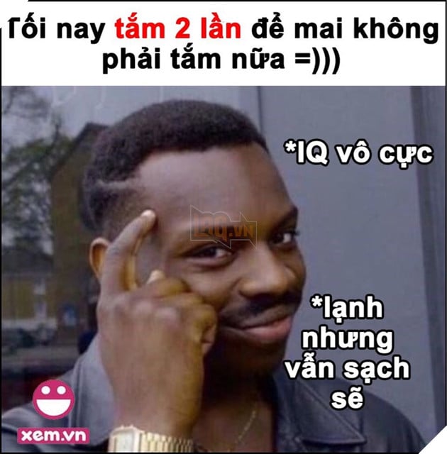 IQ vô cực