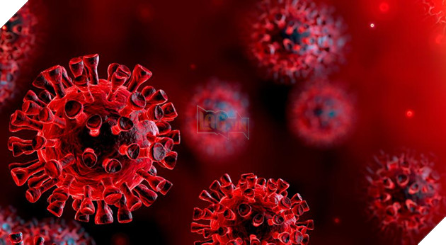 Tổng hợp các quốc gia vẫn chưa ghi nhận bất kỳ ca nhiễm COVID-19 nào cho đến nay