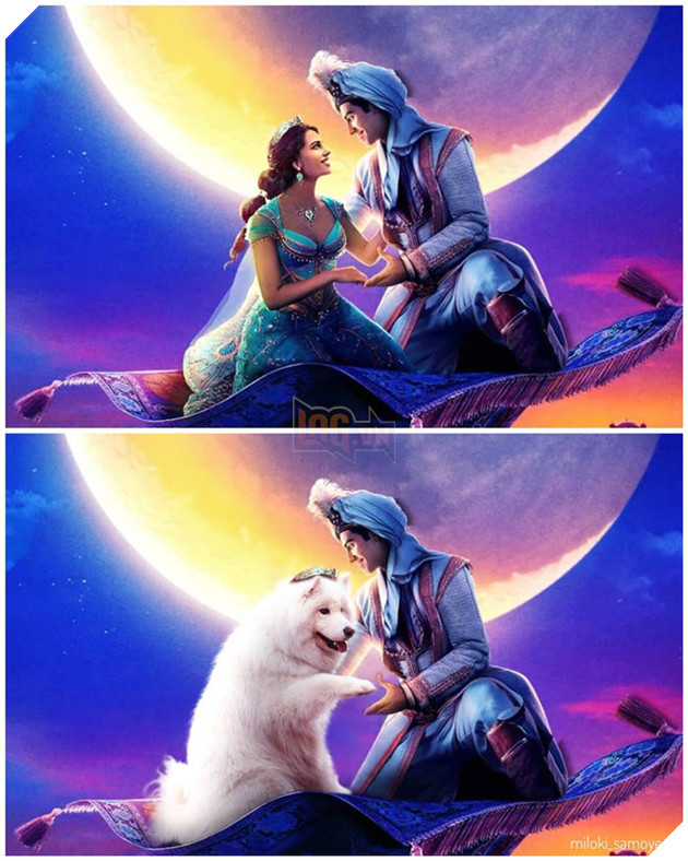 Cười bể bụng trước loạt ảnh photoshop các cảnh phim kinh điển thành chó Samoyed của thanh niên người Úc Phần 2 