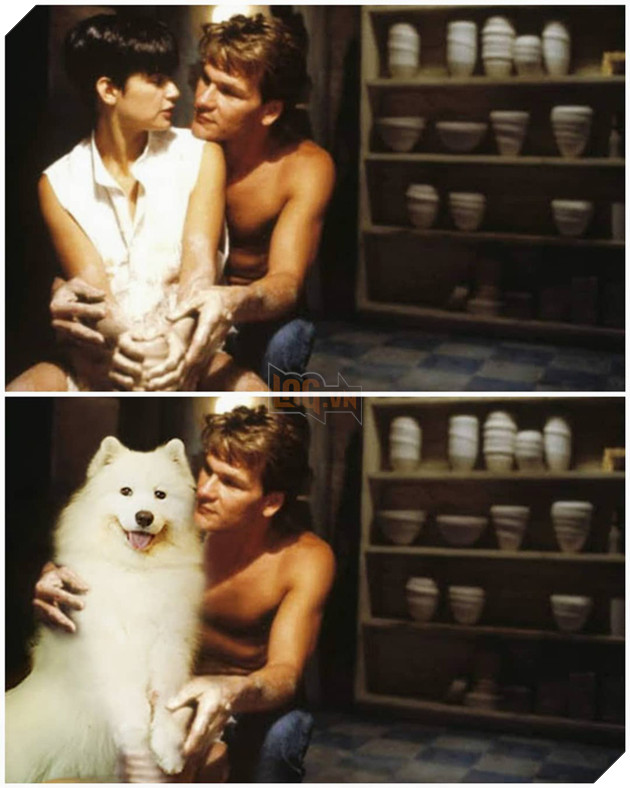 Cười bể bụng trước loạt ảnh photoshop các cảnh phim kinh điển thành chó Samoyed của thanh niên người Úc Phần 2  3