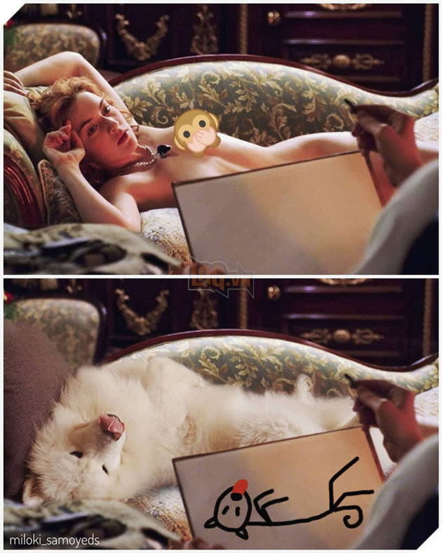 Cười bể bụng trước loạt ảnh photoshop các cảnh phim kinh điển thành chó Samoyed của thanh niên người Úc Phần 2  6