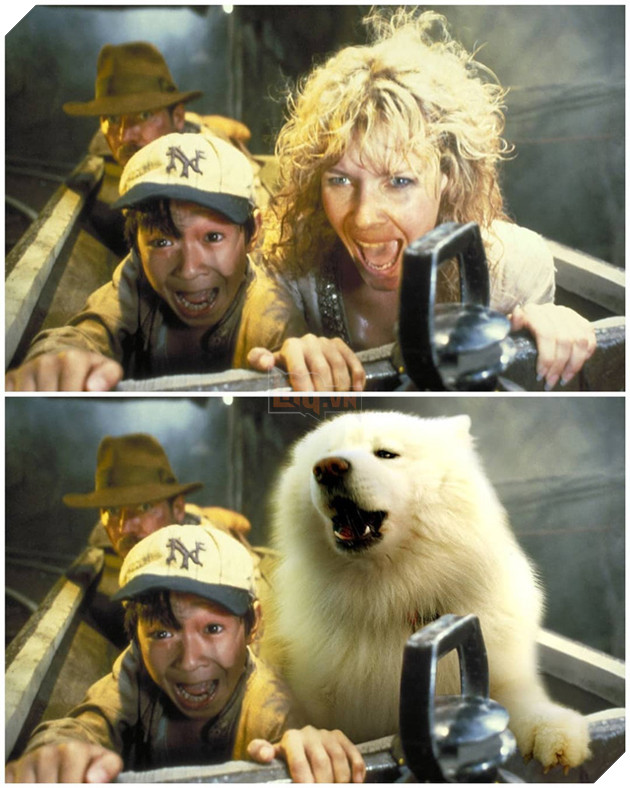 Cười bể bụng trước loạt ảnh photoshop các cảnh phim kinh điển thành chó Samoyed của thanh niên người Úc Phần 1  2