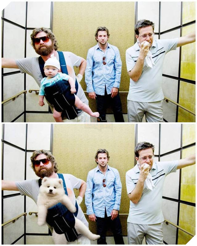 Cười bể bụng trước loạt ảnh photoshop các cảnh phim kinh điển thành chó Samoyed của thanh niên người Úc Phần 1  5