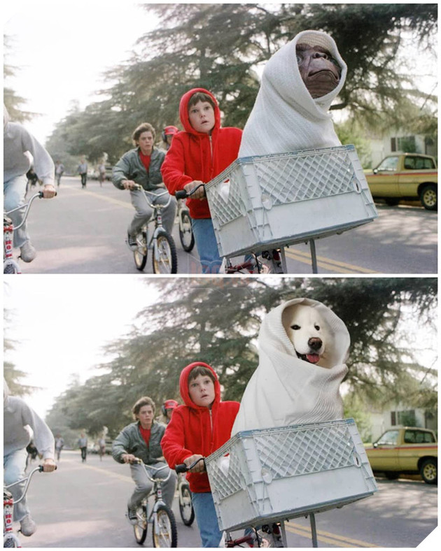 Cười bể bụng trước loạt ảnh photoshop các cảnh phim kinh điển thành chó Samoyed của thanh niên người Úc Phần 1  6