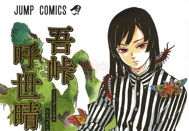 Tất tần tật về Koyoharu Gotoge, tác giả Kimetsu No Yaiba và những tựa manga khác của sensei 5