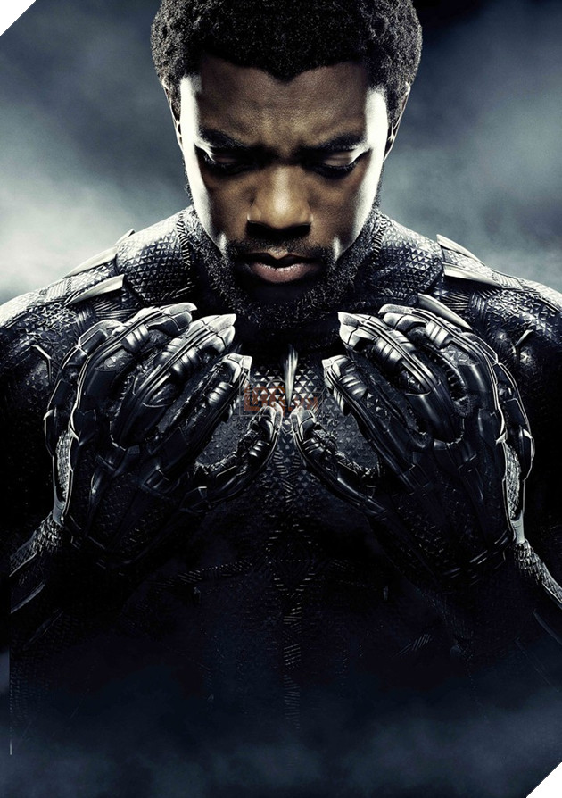 Heath Ledger, Paul Walker và Chadwick Boseman, - Những cú sốc lớn của Hollywood và người hâm mộ 7