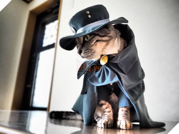 Chú mèo chuyên cosplay các nhân vật anime nổi tiếng, sở hữu 16 nghìn fan trung thành ngồi hóng ngày đêm - Ảnh 1.