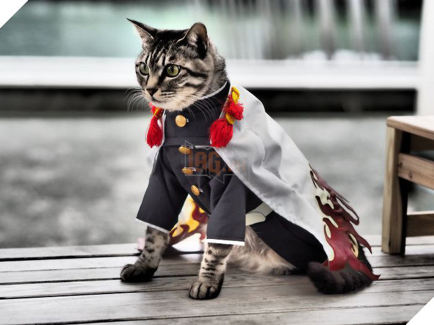 Chú mèo chuyên cosplay các nhân vật anime nổi tiếng, sở hữu 16 nghìn fan trung thành ngồi hóng ngày đêm - Ảnh 11.