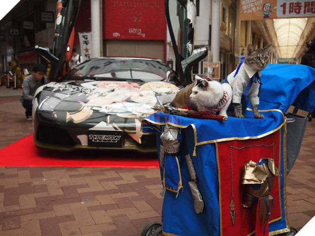 Chú mèo chuyên cosplay các nhân vật anime nổi tiếng, sở hữu 16 nghìn fan trung thành ngồi hóng ngày đêm - Ảnh 13.