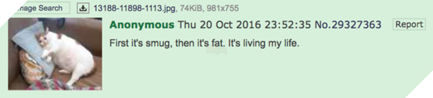 Meme Mèo Khóc là gì, có nguồn gốc từ đâu và các biến thể hài hước từ cộng đồng mạng 4