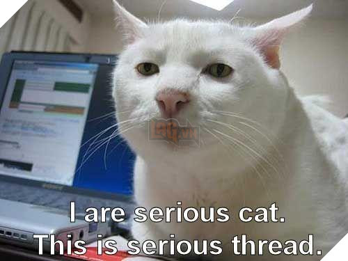 Meme Mèo Khóc là gì, có nguồn gốc từ đâu và các biến thể hài hước từ cộng đồng mạng 2