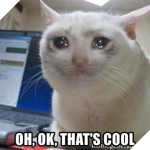 Meme Mèo Khóc là gì, có nguồn gốc từ đâu và các biến thể hài hước từ cộng đồng mạng 10