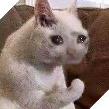 Meme Mèo Khóc là gì, có nguồn gốc từ đâu và các biến thể hài hước từ cộng đồng mạng 6