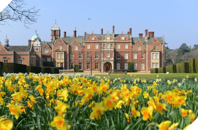 Loạt ảnh khu nghỉ dưỡng hoàng gia được nữ hoàng Anh biến thành rạp chiếu phim 4