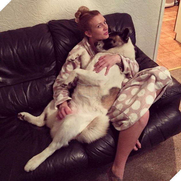 Vừa mang thai, cô gái liền nhận thấy chó cưng hành xử kỳ lạ, đến bệnh viện kiểm tra mới cảm tạ con vật đã cứu mạng 2 mẹ con mình - Ảnh 5.