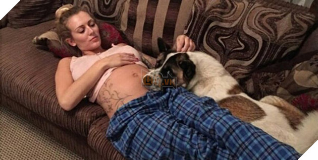 Vừa mang thai, cô gái liền nhận thấy chó cưng hành xử kỳ lạ, đến bệnh viện kiểm tra mới cảm tạ con vật đã cứu mạng 2 mẹ con mình - Ảnh 4.