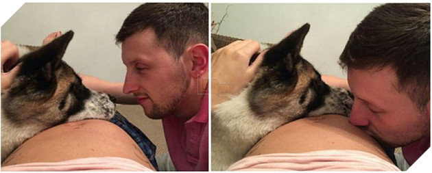 Vừa mang thai, cô gái liền nhận thấy chó cưng hành xử kỳ lạ, đến bệnh viện kiểm tra mới cảm tạ con vật đã cứu mạng 2 mẹ con mình - Ảnh 3.