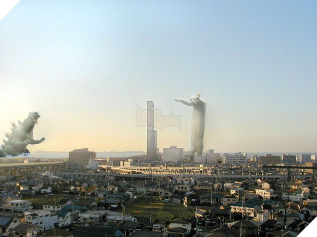 Nobiko - chú mèo huyền thoại Internet với bức ảnh meme Con mèo dài ngoằng qua đời ở tuổi 18 - Ảnh 3.