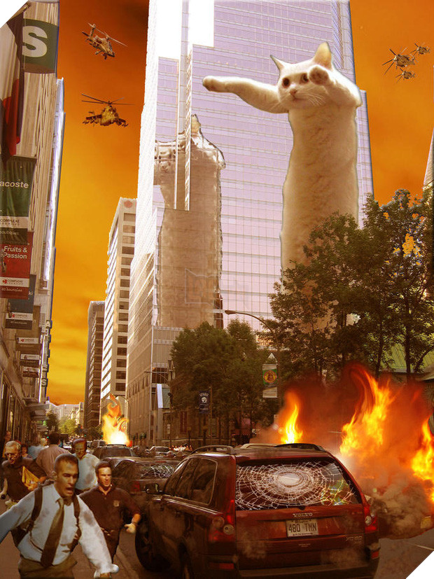 Nobiko - chú mèo huyền thoại Internet với bức ảnh meme Con mèo dài ngoằng qua đời ở tuổi 18 - Ảnh 4.