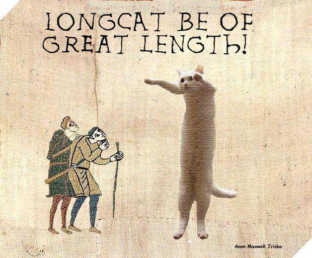 Nobiko - chú mèo huyền thoại Internet với bức ảnh meme Con mèo dài ngoằng qua đời ở tuổi 18 - Ảnh 5.