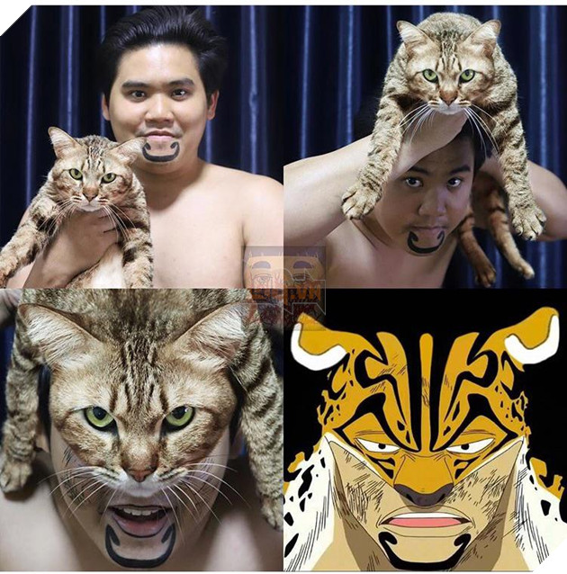 Ngã ngửa với bộ ảnh One Piece cực hài hước đến từ thánh low cost cosplay Thái Lan 16