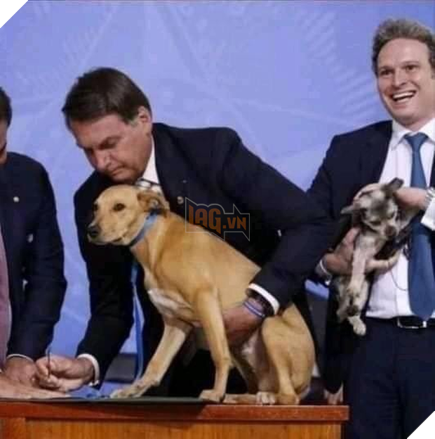 Chú chó số má nhất Brazil: Đại diện anh em bốn chân cả nước đi kí bộ luật cấm ngược đãi động vật với Tổng thống - Ảnh 2.